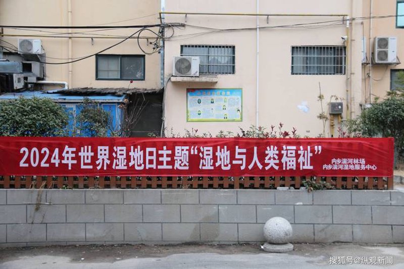 内乡县营销策划公司的新兴价值